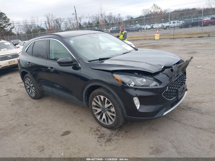 FORD ESCAPE SEL