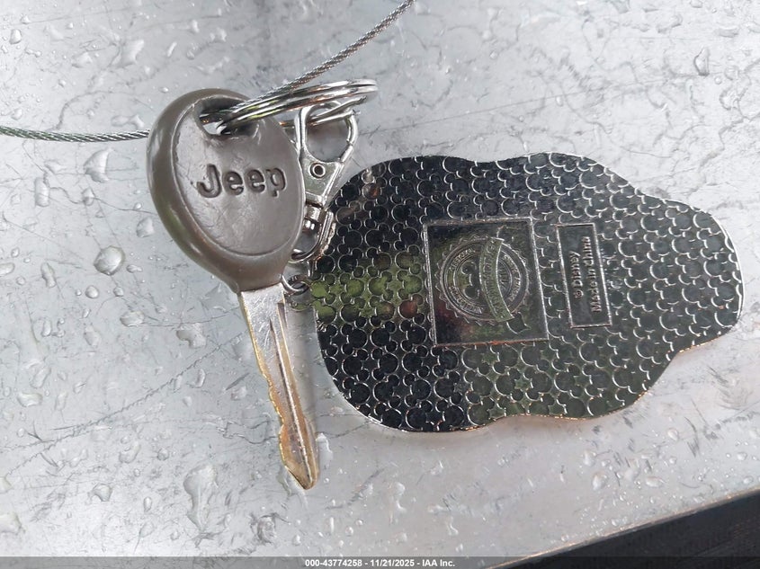 2004 Jeep Wrangler Unlimited VIN: 1J4FA49S24P759775 Lot: 43774258