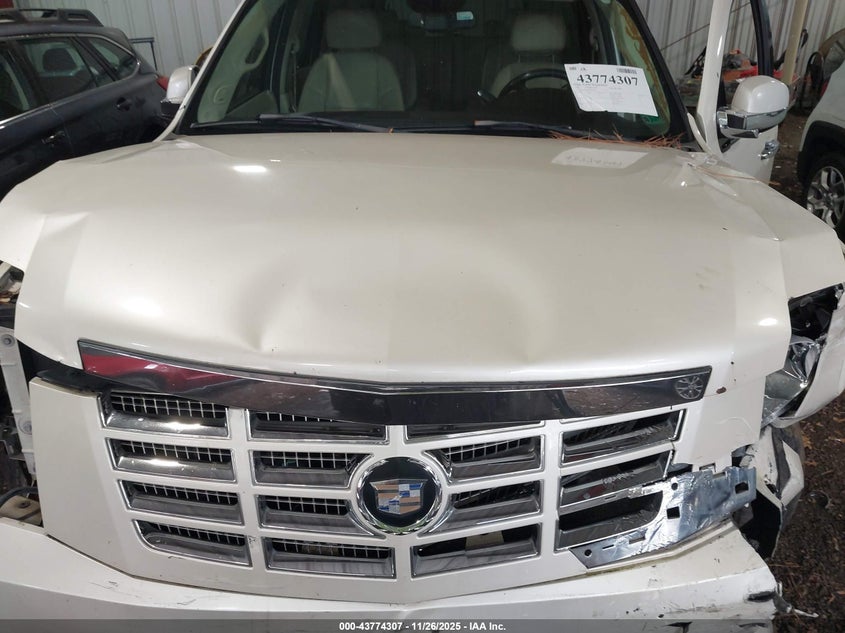 2007 Cadillac Escalade Standard VIN: 1GYFK63897R353507 Lot: 43774307