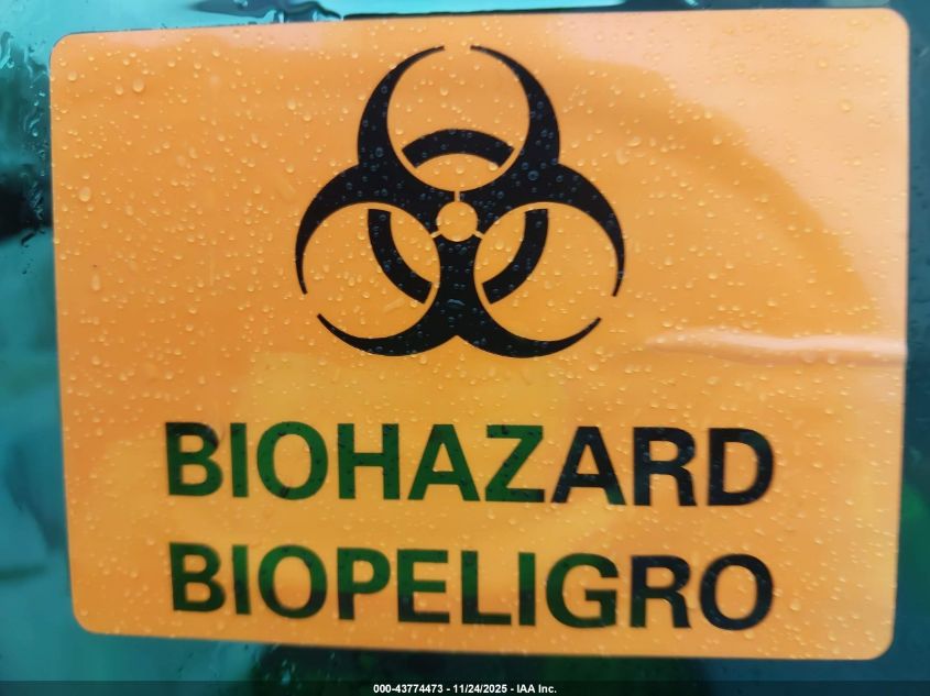 1997 Ford F-150 Standard/Xl/Xlt VIN: 1FTDX1722VNA70488 Lot: 43774473