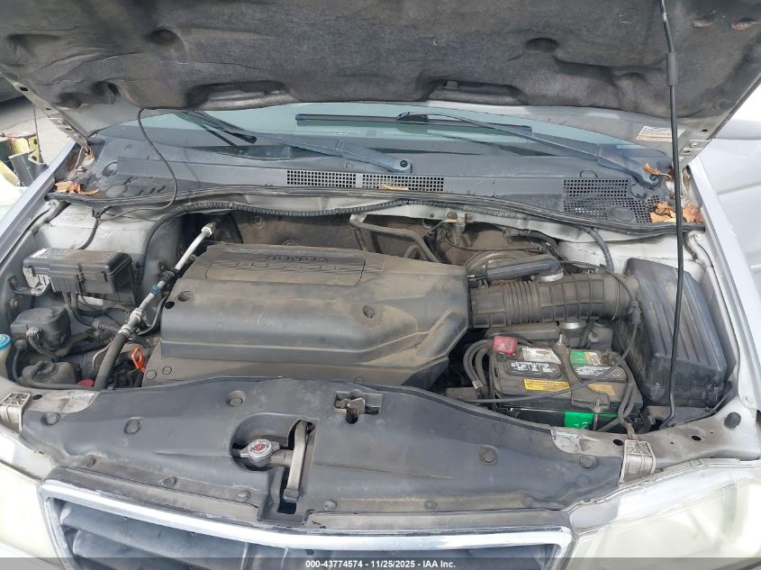 2002 Honda Odyssey Ex-L VIN: 5FNRL18782B025934 Lot: 43774574