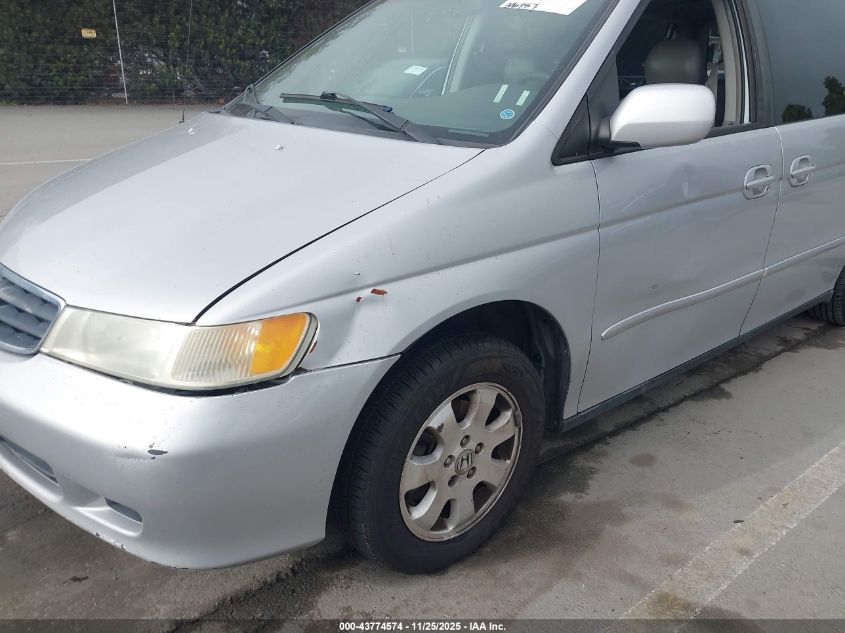 2002 Honda Odyssey Ex-L VIN: 5FNRL18782B025934 Lot: 43774574