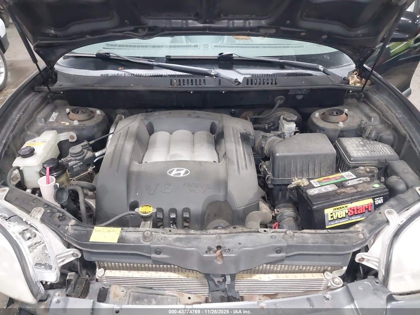 2003 Hyundai Santa Fe Gls/Lx VIN: KM8SC73D23U373847 Lot: 43774769