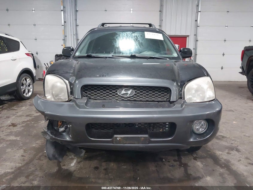 2003 Hyundai Santa Fe Gls/Lx VIN: KM8SC73D23U373847 Lot: 43774769