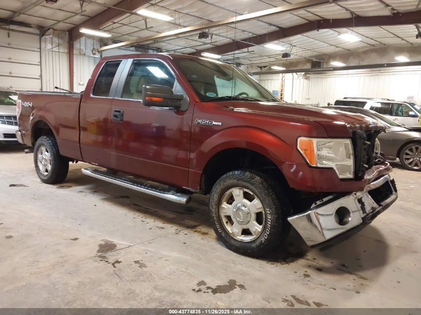 FORD F-150 FX4/LARIAT/XL/XLT