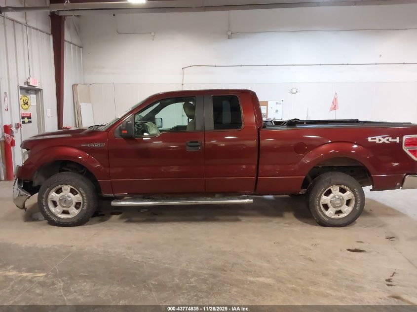 2010 Ford F-150 Fx4/Lariat/Xl/Xlt VIN: 1FTFX1EV7AFB97702 Lot: 43774835