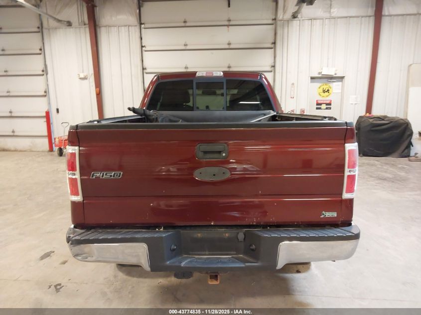 2010 Ford F-150 Fx4/Lariat/Xl/Xlt VIN: 1FTFX1EV7AFB97702 Lot: 43774835