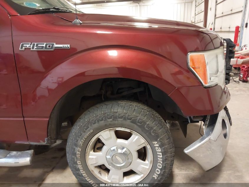 2010 Ford F-150 Fx4/Lariat/Xl/Xlt VIN: 1FTFX1EV7AFB97702 Lot: 43774835