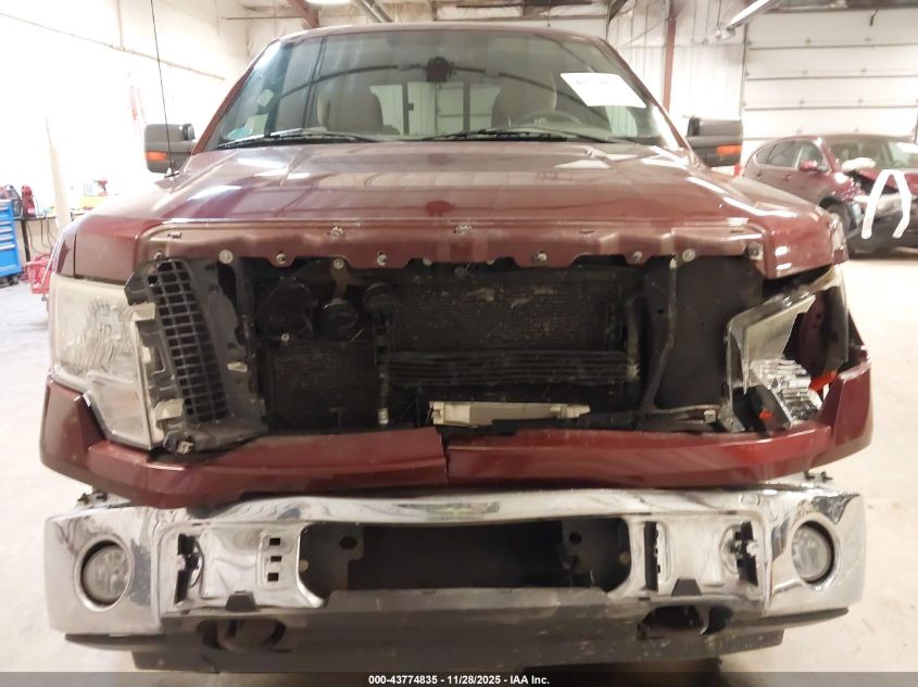 2010 Ford F-150 Fx4/Lariat/Xl/Xlt VIN: 1FTFX1EV7AFB97702 Lot: 43774835