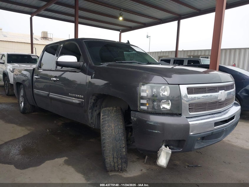 CHEVROLET SILVERADO 1500 LT