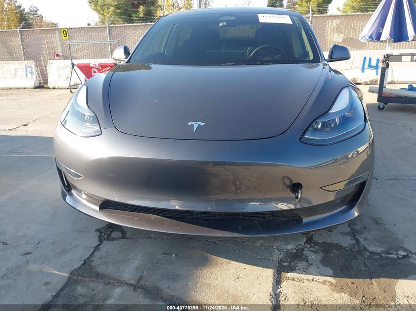 2023 Tesla Model 3 Rear-Wheel Drive VIN: 5YJ3E1EA7PF647710 Lot: 43775395