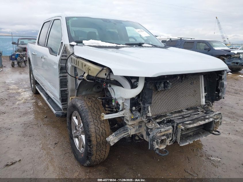 2025 Ford F-150 - 1FTEW3LP3SKE06294