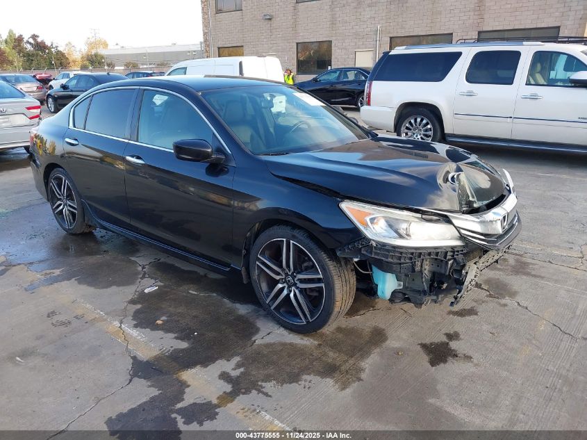 HONDA ACCORD SPORT SE