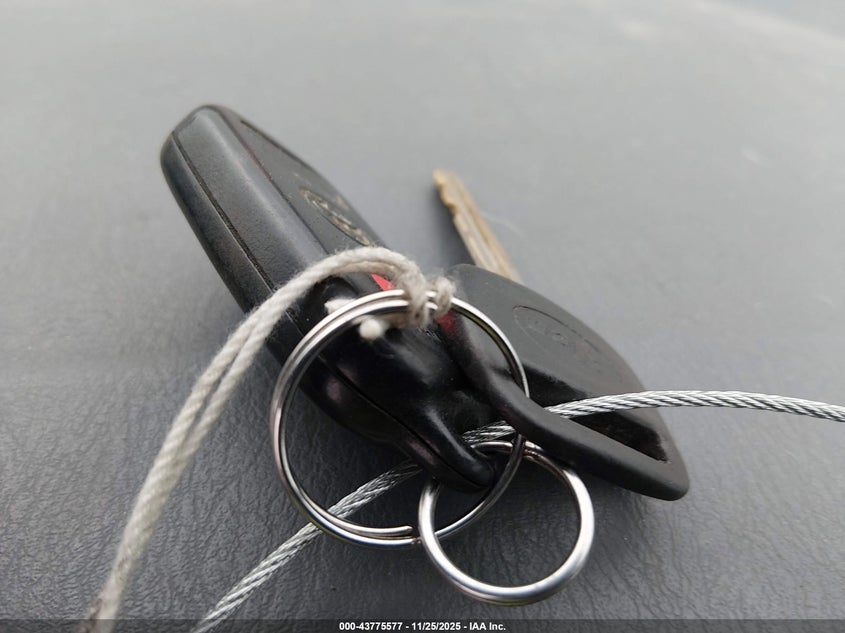 2002 Toyota Sienna Le VIN: 4T3ZF13C32U503909 Lot: 43775577