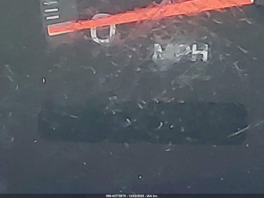 1999 Ford Expedition Eddie Bauer/Xlt VIN: 1FMPU18L0XLA74935 Lot: 43775579