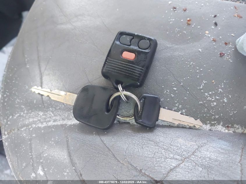 1999 Ford Expedition Eddie Bauer/Xlt VIN: 1FMPU18L0XLA74935 Lot: 43775579