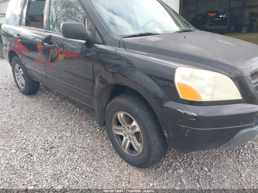 2005 Honda Pilot Ex VIN: 5FNYF18425B049126 Lot: 43775593