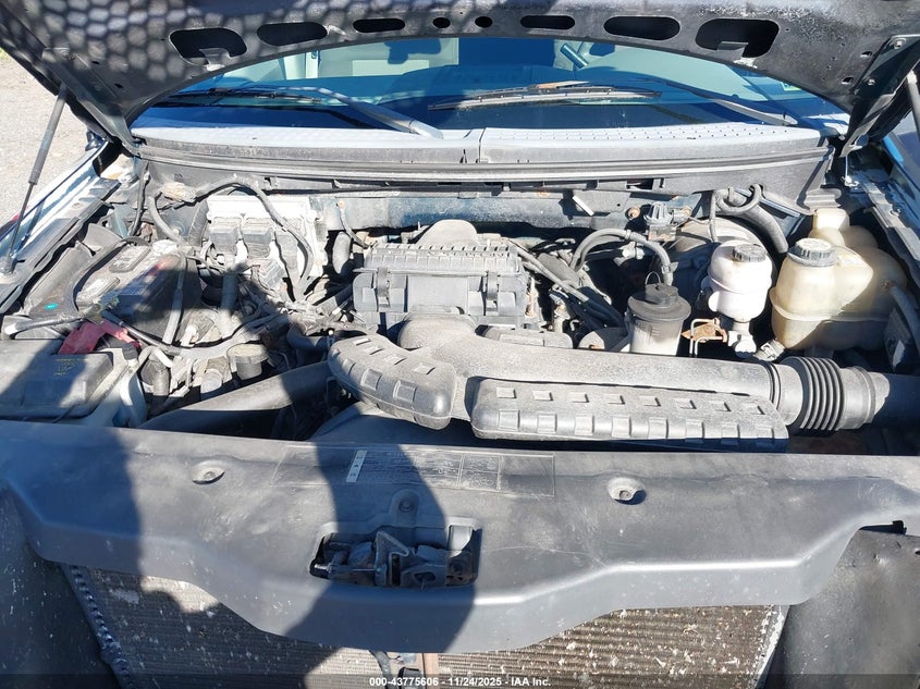 2006 Ford F-150 Fx4/Lariat/Xlt VIN: 1FTPW14566KB52032 Lot: 43775606