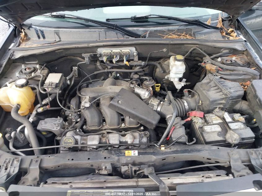 2008 Ford Escape Xlt VIN: 1FMCU03148KC71242 Lot: 43775617