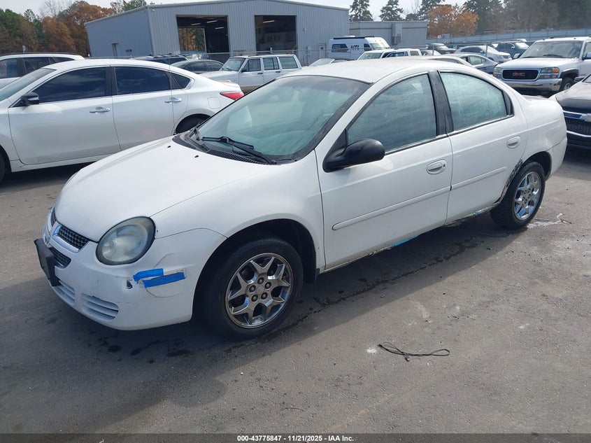 1B3ES56C63D226072 2003 DODGE NEON photo no. 2