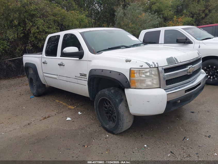 CHEVROLET SILVERADO 1500 LT