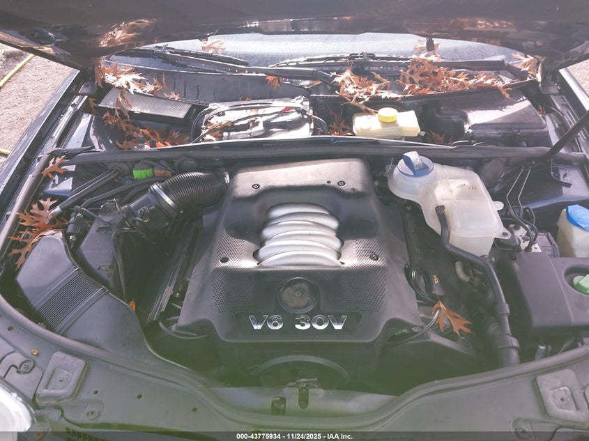 2005 Volkswagen Passat Glx VIN: WVWYU63B75E040674 Lot: 43775934