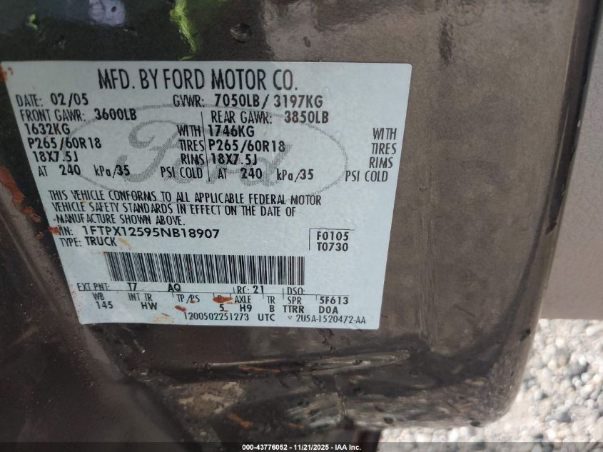 2005 Ford F-150 Lariat/Xl/Xlt VIN: 1FTPX12595NB18907 Lot: 43776052