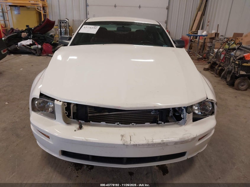 2006 Ford Mustang Gt VIN: 1ZVFT82H265254319 Lot: 43776192