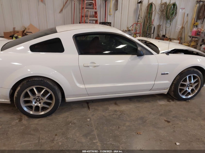 2006 Ford Mustang Gt VIN: 1ZVFT82H265254319 Lot: 43776192