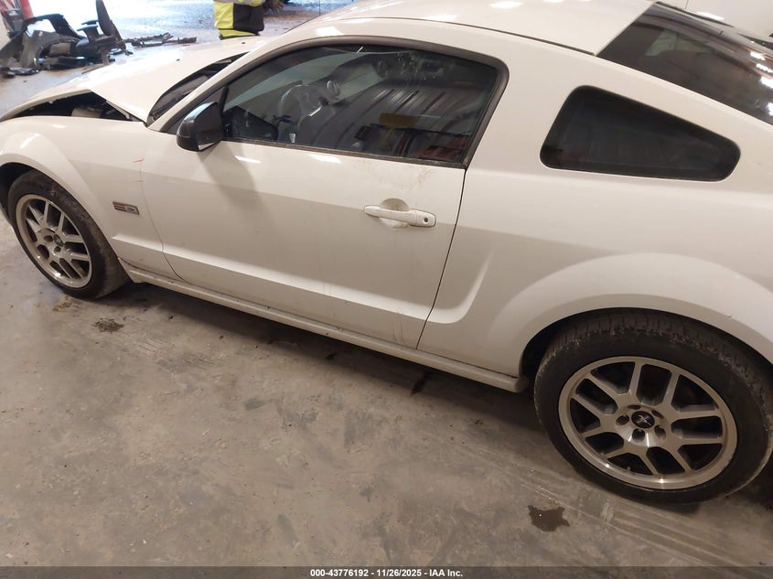 2006 Ford Mustang Gt VIN: 1ZVFT82H265254319 Lot: 43776192