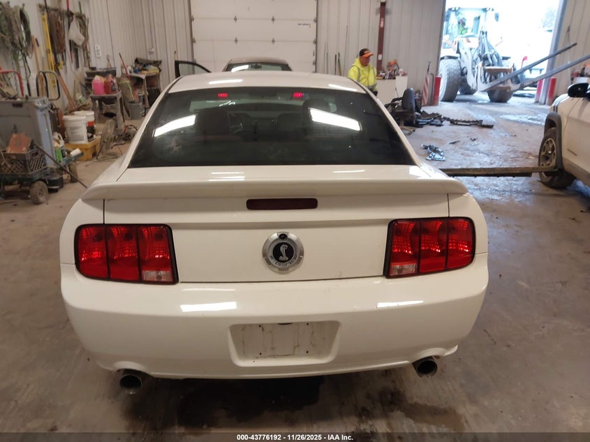 2006 Ford Mustang Gt VIN: 1ZVFT82H265254319 Lot: 43776192