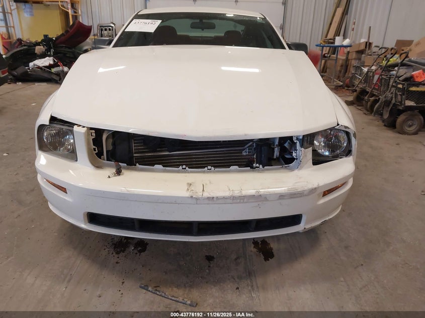 2006 Ford Mustang Gt VIN: 1ZVFT82H265254319 Lot: 43776192