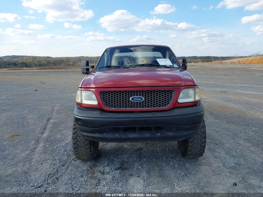 1999 Ford F-150 Work Series/Xl/Xlt VIN: 1FTZF1725XNA79987 Lot: 43776673