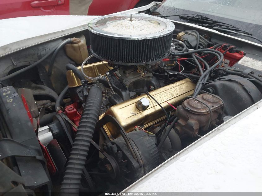 1975 Chevrolet Corvette VIN: 1Z37J4S422825 Lot: 43777173