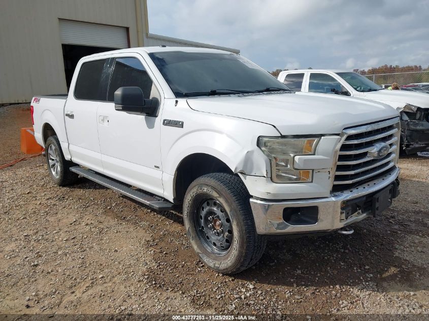 FORD F-150 XLT