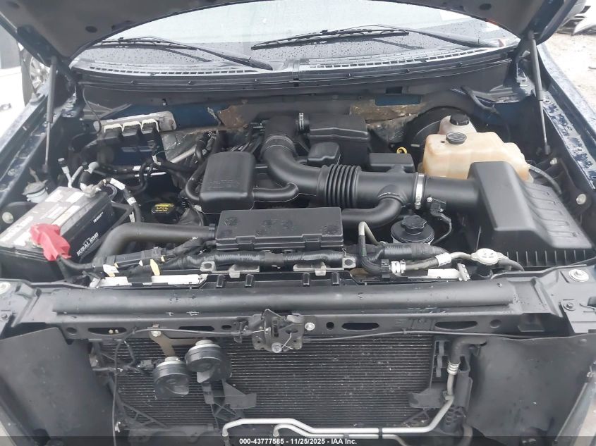 2009 Ford F-150 Xl/Xlt VIN: 1FTPF12V09KB56830 Lot: 43777585