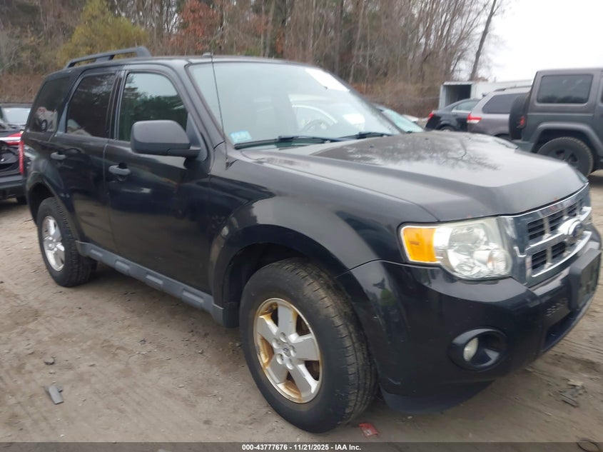 FORD ESCAPE XLT