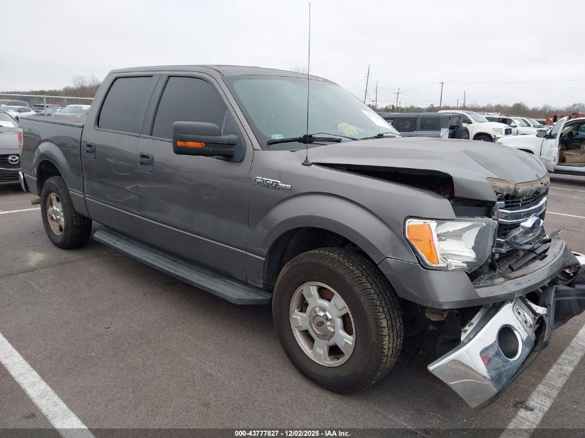 FORD F-150 XLT
