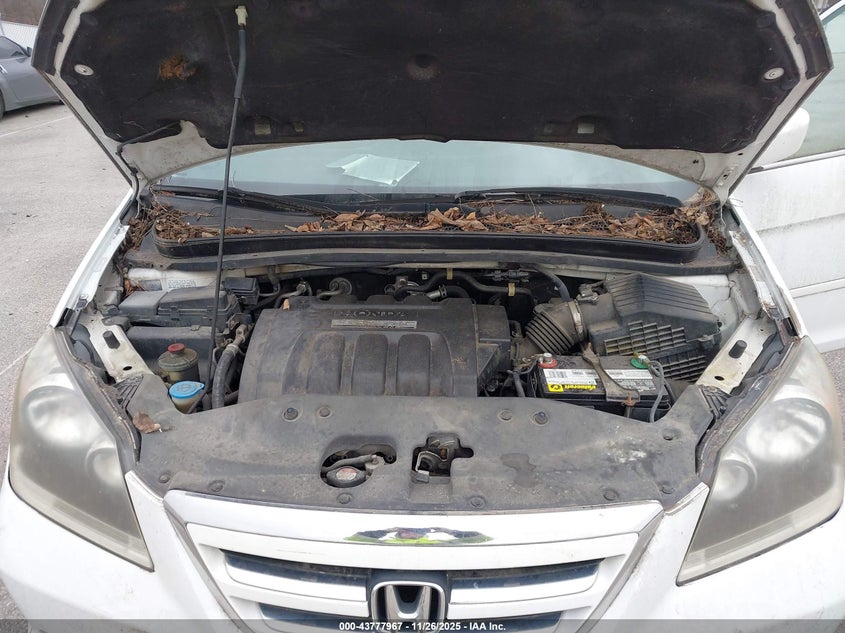 2007 Honda Odyssey Touring VIN: 5FNRL38817B017962 Lot: 43777967