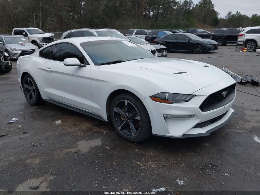 FORD MUSTANG ECOBOOST