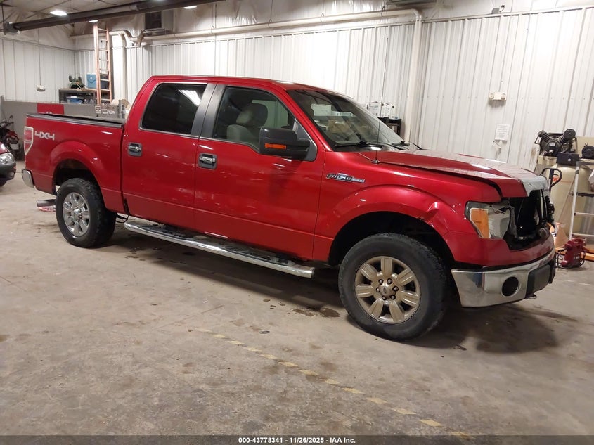 FORD F-150 FX4/HARLEY-DAVIDSON/KING RANCH/LARIAT/PLATINUM/XL/XLT