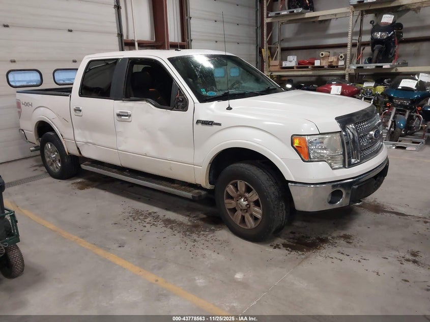 FORD F-150 FX4/HARLEY-DAVIDSON/KING RANCH/LARIAT/PLATINUM/XL/XLT