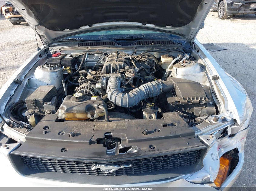 2008 Ford Mustang V6 Deluxe/V6 Premium VIN: 1ZVHT80N285201088 Lot: 43778568