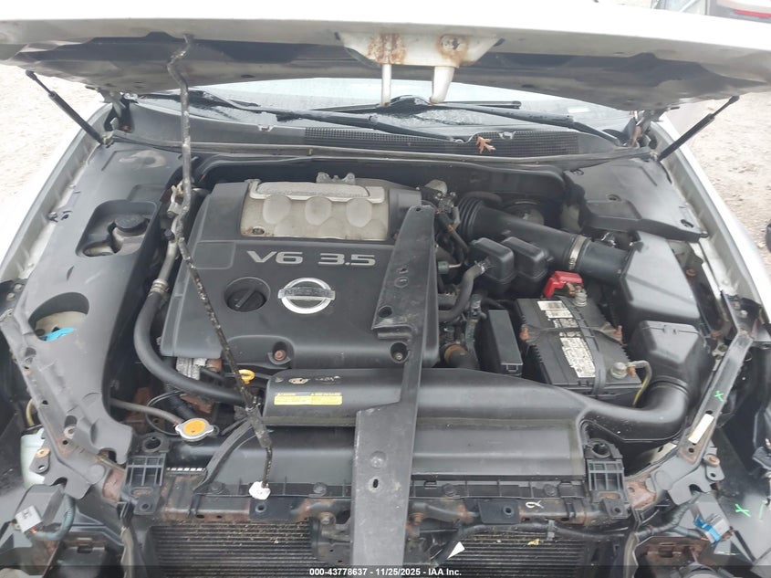 2005 Nissan Maxima 3.5 Se VIN: 1N4BA41E85C849702 Lot: 43778637