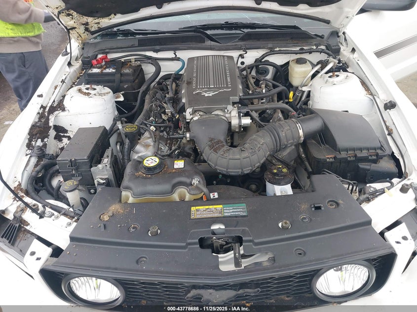 2007 Ford Mustang Gt Deluxe/Gt Premium VIN: 1ZVHT82H575317553 Lot: 43778686