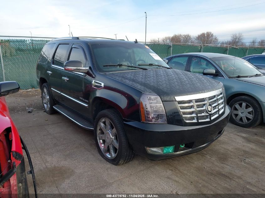 CADILLAC ESCALADE STANDARD