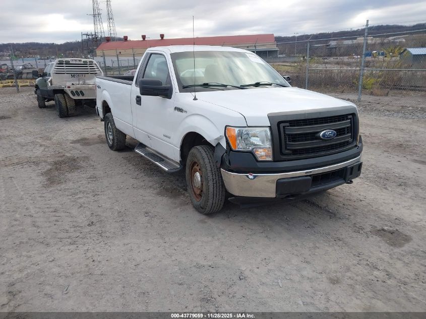 FORD F-150 XL