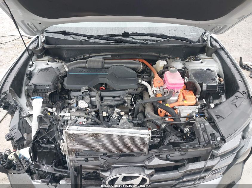 2025 Hyundai Tucson Hybrid Blue VIN: KM8JBDD17SU316334 Lot: 43779064