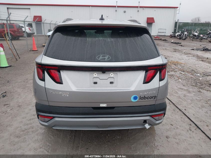 2025 Hyundai Tucson Hybrid Blue VIN: KM8JBDD17SU316334 Lot: 43779064