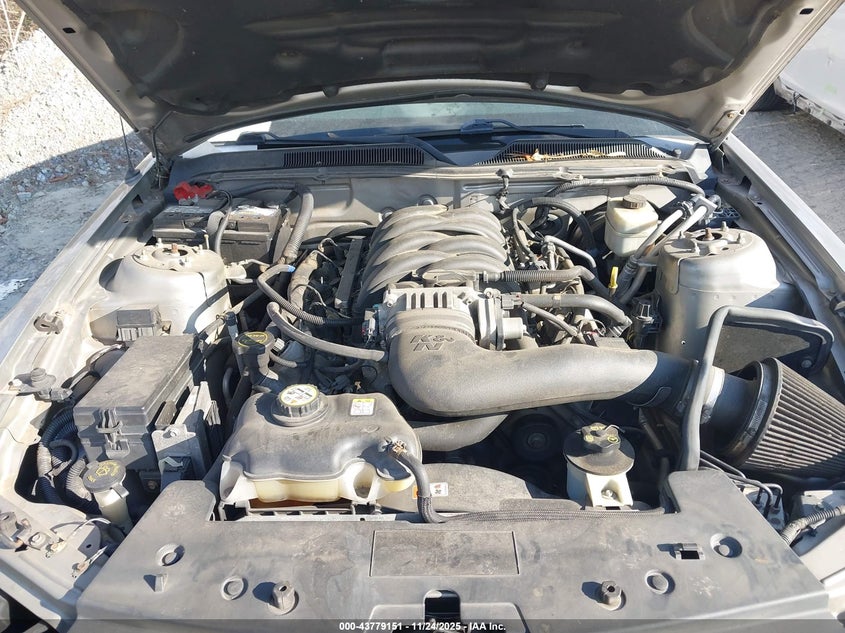 2008 Ford Mustang Gt Premium VIN: 1ZVHT82HX85141214 Lot: 43779151